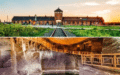 Auschwitz Birkenau et la Mine de sel en une journée
