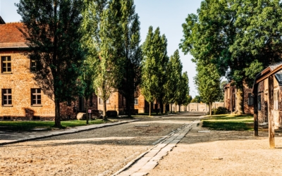 Auschwitz camp alley